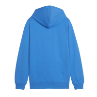 Puma teamGOAL Casuals Hoodie Kinder blau weiß
