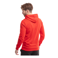 Puma teamGOAL Casuals Hoodie Herren rot weiß