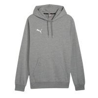 Puma teamGOAL Casuals Hoodie Herren - grau
