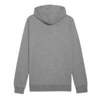 Puma teamGOAL Casuals Hoodie Herren - grau