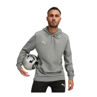 Puma teamGOAL Casuals Hoodie Herren - grau