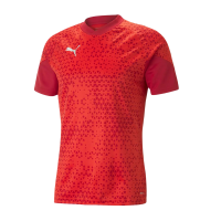 Puma teamCUP Trainingstrikot Herren - ro gallery